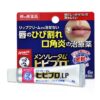 rohto mentholatum hibi pro lp 6g 4987241124367image